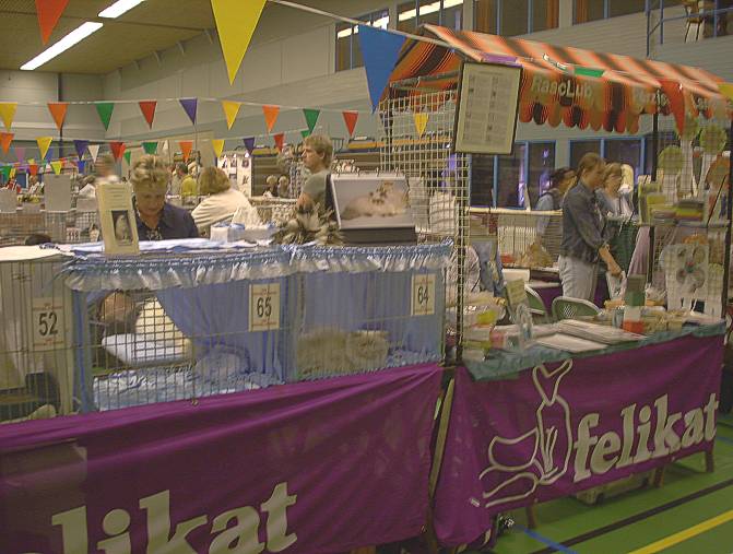 Schiedam Felikatshow 2003